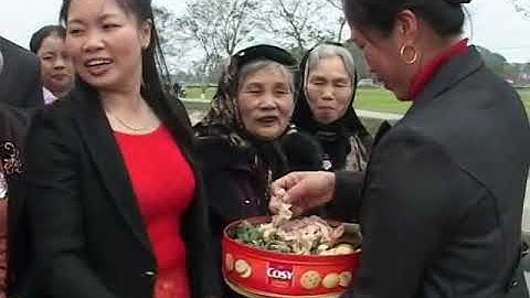 Lễ hội đặc sắc, rước vua giả Đền Sái Thụy Lôi, Thụy Lâm ,Đông Anh,Hà Nội 2014-1