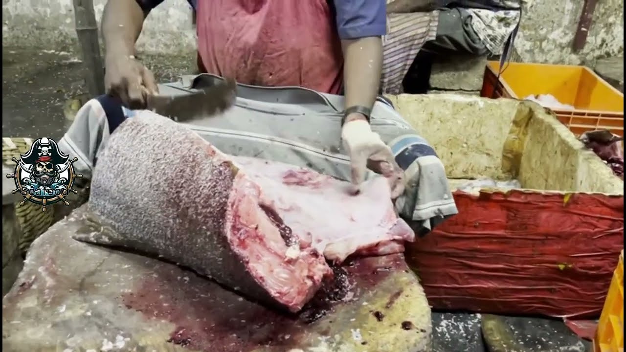 Fish .50kg 😱 | machhi Market | 