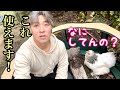 【犬・猫・鶏・小動物】おすすめで使いやすい折りたたみ式サークルケージ