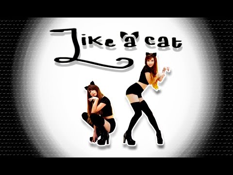 AOA- Like a cat ♥ dance cover