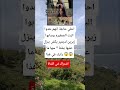 احلي حاجة انهم خدوا البت الصغيره وسابوا زيرين