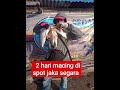 Mancing baramundi mantap trending mancing baramundi shots