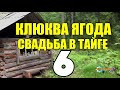 ДВА БРАТА В ТАЙГЕ | ТАЕЖНЫЙ ТУПИК | КЛЮКВА НА ДВОИХ | СУДЬБА ЧЕЛОВЕКА 6 из 6