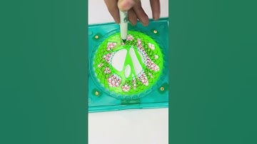 Satisfying Geometric ASMR: Hypnotic Spirograph Patterns for Deep Relaxation! #art #spirograph #2024