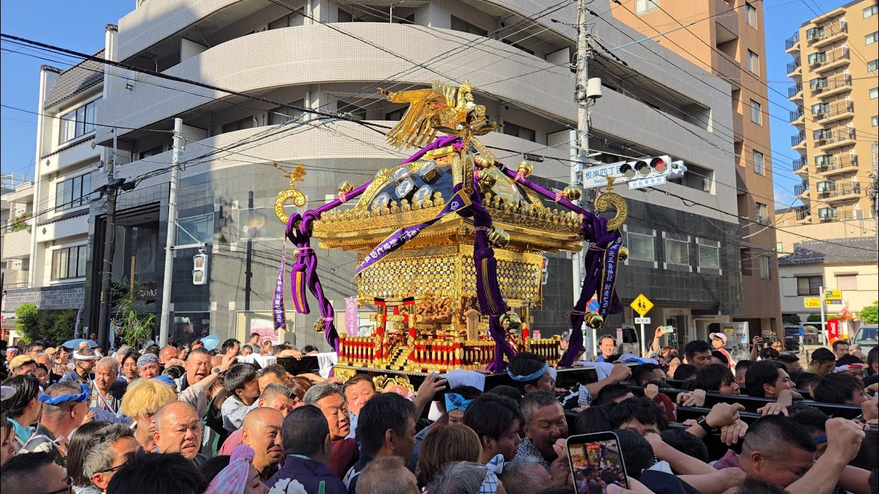 2026.05.10 元三島神社例大祭 本社神輿 神幸祭 - YouTube