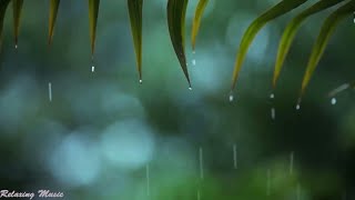 Relaxing Music, Sleep Music with Rain Sound, Piano Music for Stress Relief