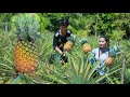 Sweetest Honey Pineapple | How I turn Honey Pineapple Sweeter | Pineapple Jam making at home