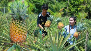 Sweetest Honey Pineapple | How I turn Honey Pineapple Sweeter | Pineapple Jam making at home