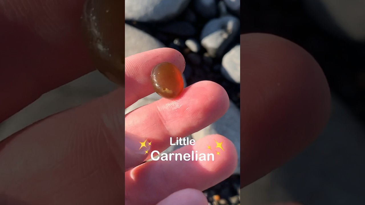 Carnelian gemstone waiting to be found