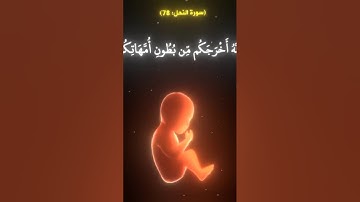 ﴿وَاللَّهُ أَخْرَجَكُمْ مِنْ بُطُونِ أُمَّهَاتِكُمْ لَا تَعْلَمُونَ #سورة_النحل #ياسرالدوسري #اكسبلو