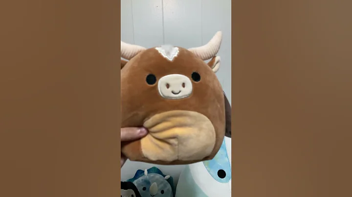 My collection part 1 #trending #viral #squishmallows #tiktok #fyp
