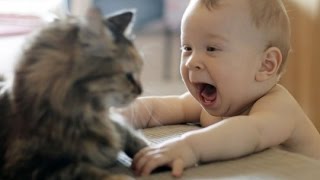 4 ре минуты позитива КОТЫ и МЛАДЕНЦЫ 4 Minutes of Funny Cats 4 ре минуты позитива КОТЫ и МЛАДЕНЦЫ 4 Minutes of Funny Cats