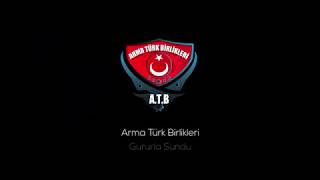 ARMA TÜRK BİRLİKLERİ: COOP TA FİNAL. screenshot 5