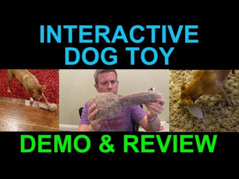 Hyper Pet Doggie Tail Interactive Plush Dog Toy Motion Activated Sound Jumping Review Demo