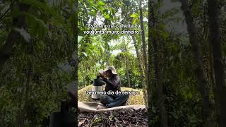 #crescernoyoutube #rondonia #youtubeshorts #foryou #humor