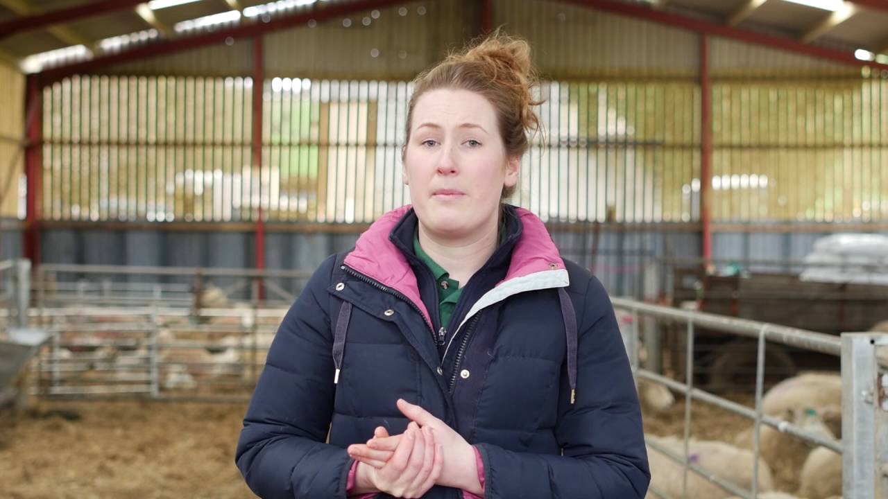 How much colostrum should I feed? - Lamlac