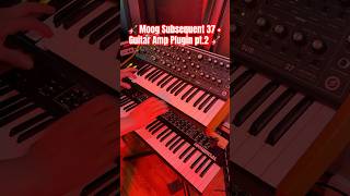 🎸 Moog Subsequent 37 + Guitar Amp Plugin Pt. 2 🎸 #synth #moog #synthesizer #electronicmusic