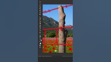 Remove Fence with 1 Simple Step   Photoshop short tips and tricks