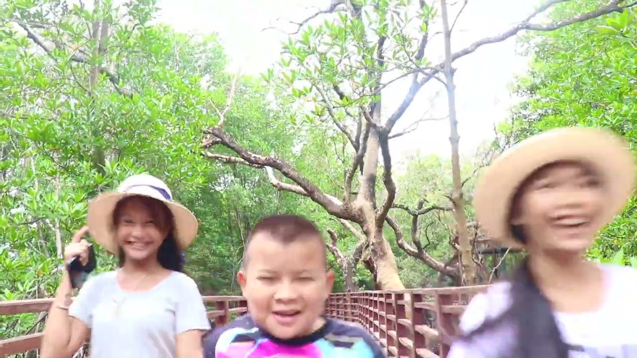 ท่องเที่ยวเชิงอนุรักษ์ป่าชายเลน ท 4 ทีมที่ 2 Draft 2 1