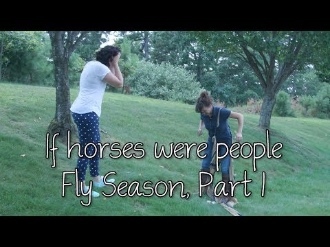 if-horses-were-people---fly-season,-part-1