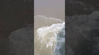 Cox's Bazar Beach in Slow Motion Video