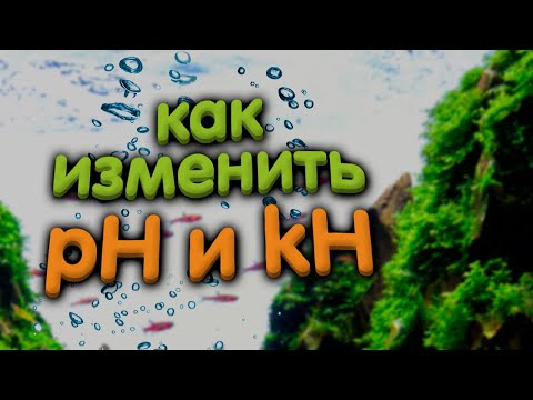 Video: Jak Snížit Ph V Akváriu