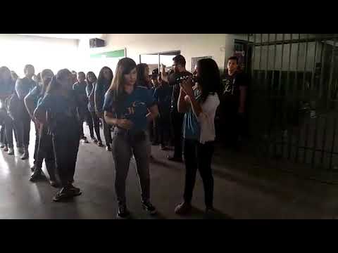 Ninguém explica Deus - Grupo Art Dance (Escola Ana Maria do Couto ...