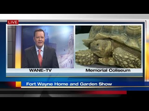 Indiana Wild Live At The Fort Wayne Home And Garden Show You - Home And Garden Show 2020 Fort Wayne Indiana Wild Live At The Fort Wayne Home And Garden Show You - Home And Garden Show 2020 Fort Wayne