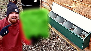 Keep You Nest Boxes Clean ALWAYS With This!