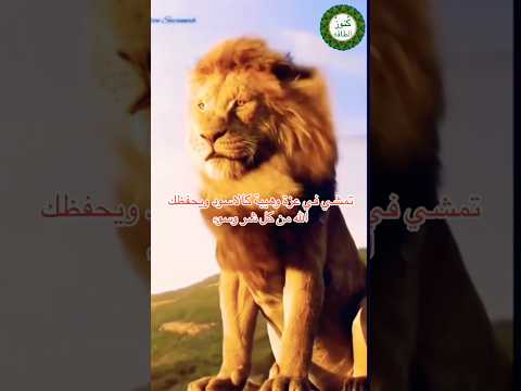 دعاء الحصن الحصين دعاء التمكين من رب العالمين حتكون كالأسود فى أعين الأعداء  اكسبلور دعاء
