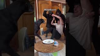 When A Home Intruder Comes My Dogs Reaction Is Priceless