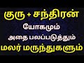குரு சந்திரன் இணைவு தரும் யோகமும் மலர் மருந்துகளும் | Jupiter moon conjunction #ராசிபலன் #rasipalan