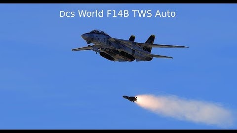 Dcs world: F14B TWS auto tutorial