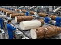 How Cassava Flour Is Made | Inside America’s Largest Cassava Processing Plant (Full Process)