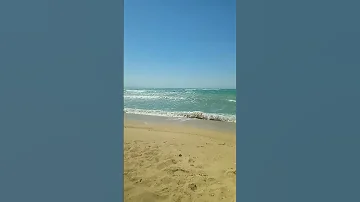 هو دا بقي تامر Song Music Hiphop Rap بحر المراه اكسبلور النظافه Beach 