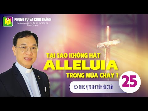 Video: Bữa Tiệc Ly có trong cả 4 sách phúc âm không?