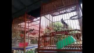 WP 20140406 006