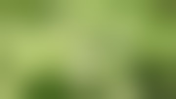 When to change your DWC water