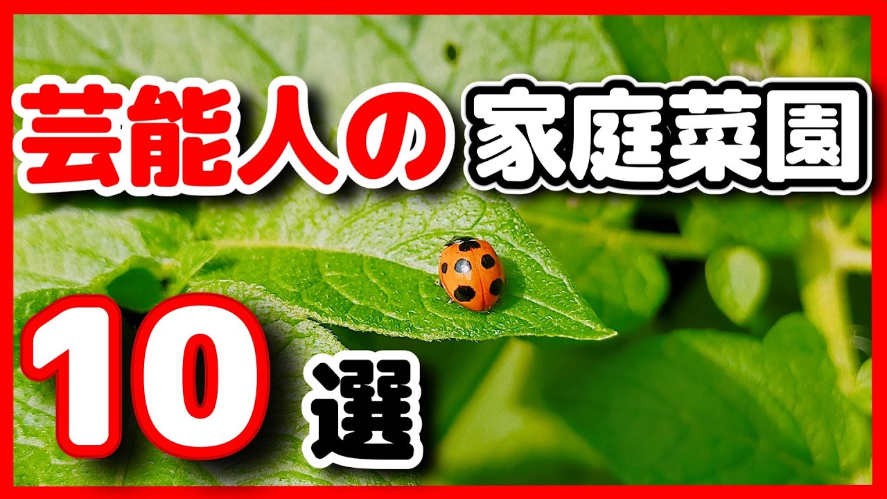 芸能人で家庭菜園をやっている方１０選2026年版