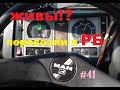 дальнобой по беларуси #41 ЖИВЫ! ПЕРЕВОЗКИ В РБ.