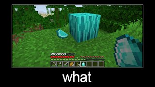 Minecraft wait what meme part 99 (diamond melon)