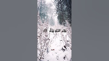ارح سمعك قليلا #القرآن_الكريم #تلاوة_خاشعة #ارح_قلبك #أرح_سمعك #ياسر_الدوسري #سورة_النور #راحة_نفسية