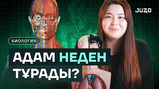 картинка: АДАМ АҒЗАСЫНА САЯХАТ: АНАТОМИЯ | JUZ40
