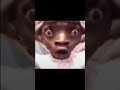 رياكشن صدمة تسليكية رياكشن صدمة تسليكية