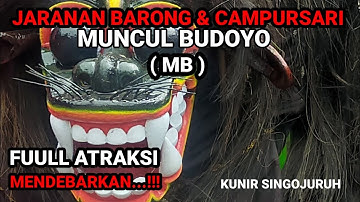 MENDEBARKAN ...!!!. JARANAN BARONG DAN CAMPUSARI " MUNCUL BUDOYO" KUNIR SINGOJURUH