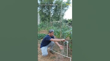 Bộ béc phun sương đầu đồng ống 10mm | Tưới Biển Vàng | tuoibienvang.com