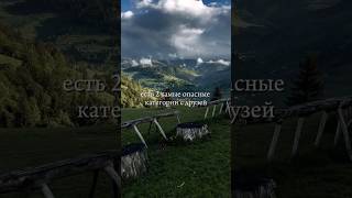 ‼️Есть 2 самые опасные категории с друзей ‼️
