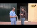 Cómo evitar los cólicos por arena