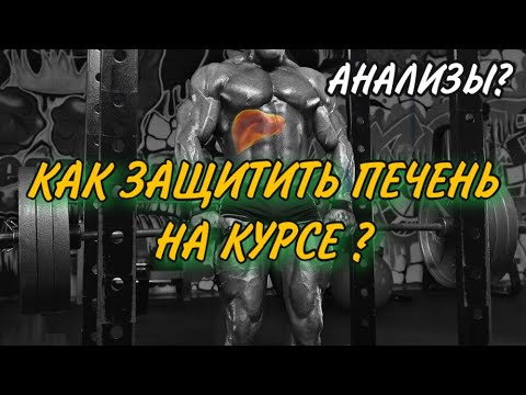 КАК ЗАЩИТИТЬ ПЕЧЕНЬ НА КУРСЕ?