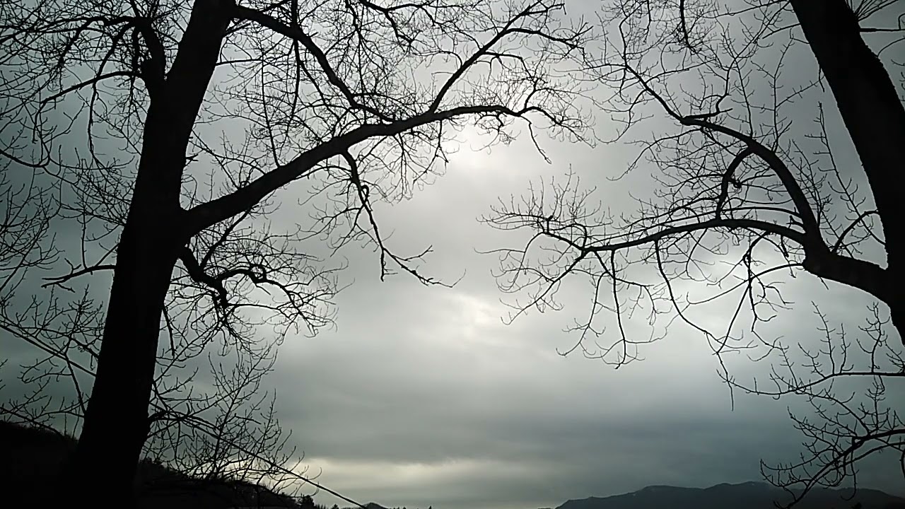 L'Immotivata Passione - Jiddu Krishnamurti - Il Volo dell'Aquila 